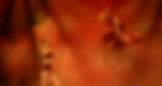 BreakingCircus-DDC2025-_VM12840_edited.jpg