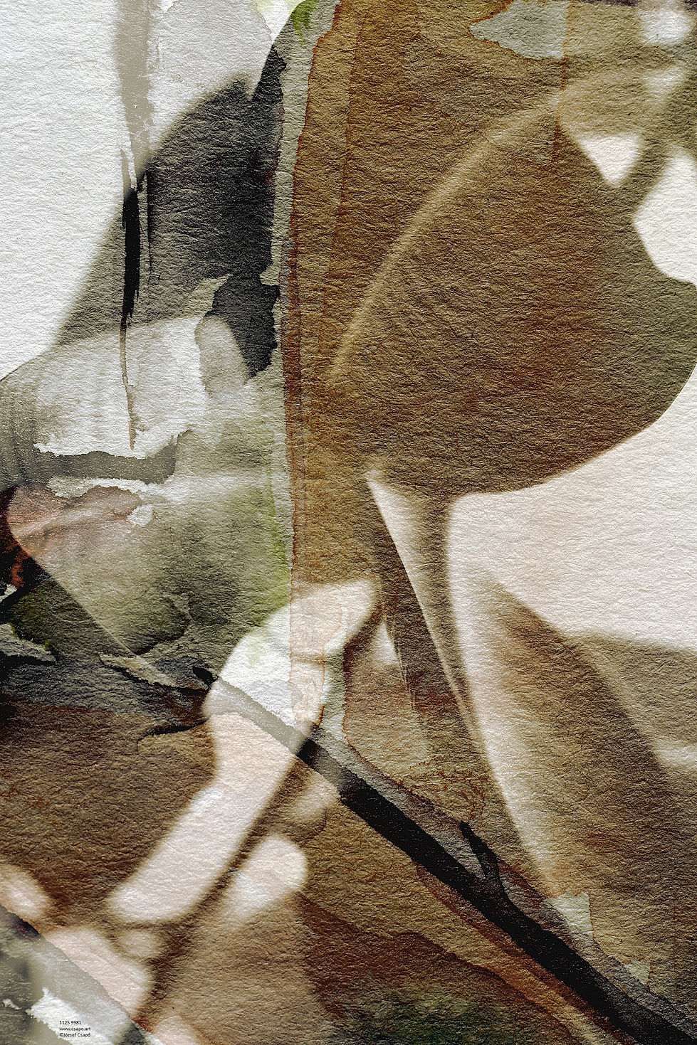 No.47 | József Csapó