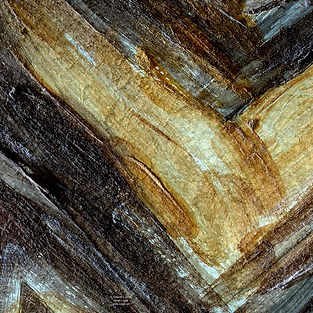 Artwork | No.89 | Fusion 3 | Crop 3 | Csapo Art