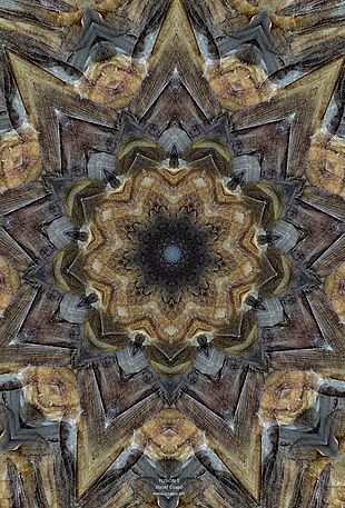 Artwork | No.89 | Fusion 1 | Csapo Art