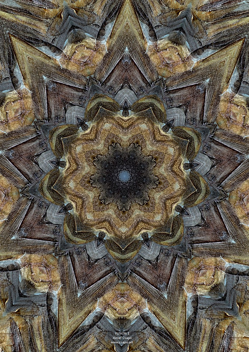 Artwork | No.89 | Fusion 1 | Csapo Art