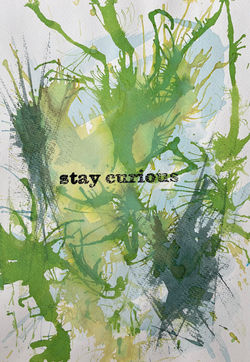 stay curious