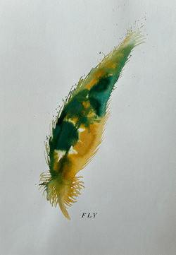 fly