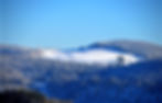 Schwarzwald im Schnee