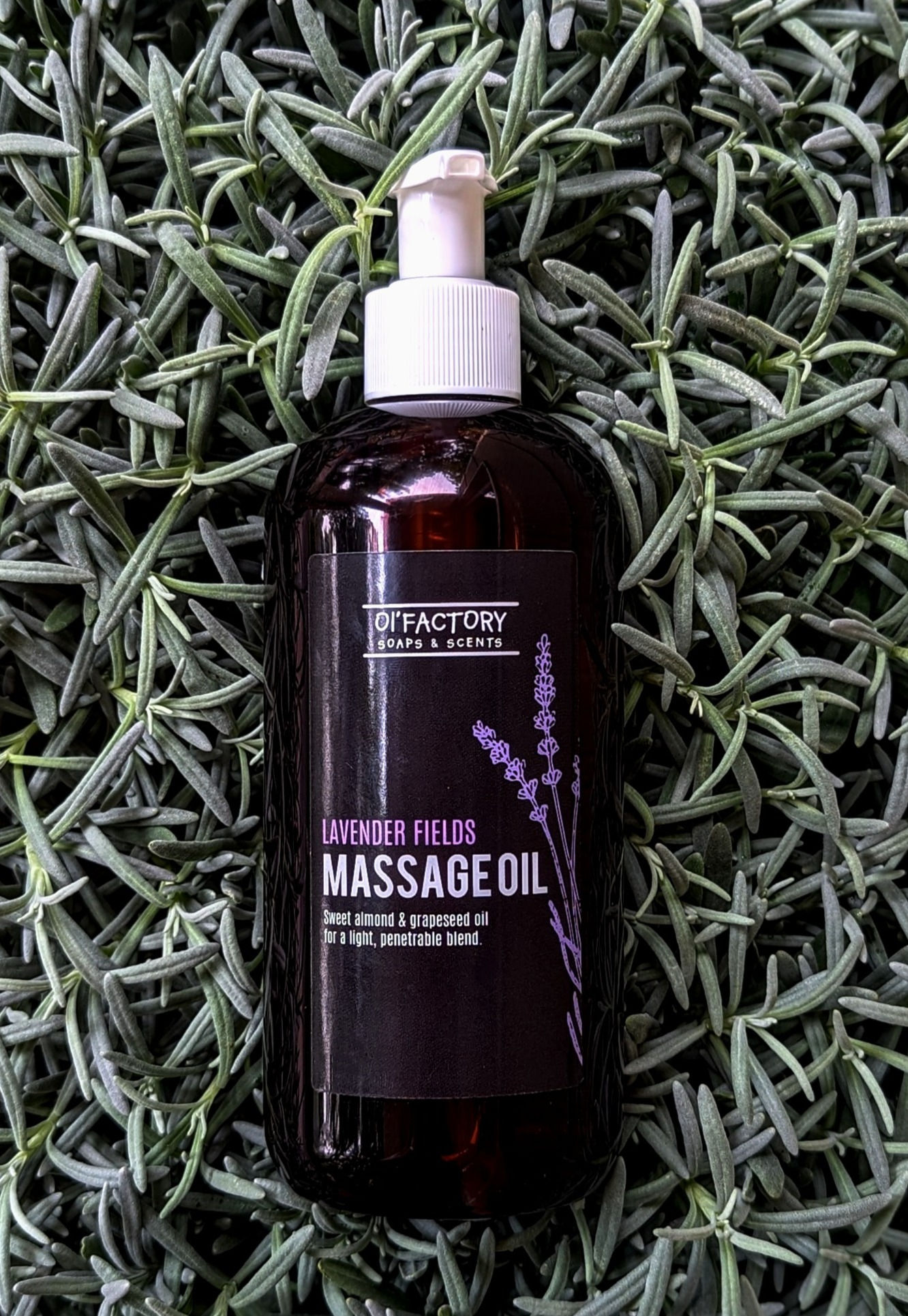 Lavender Fields Massage Oil
