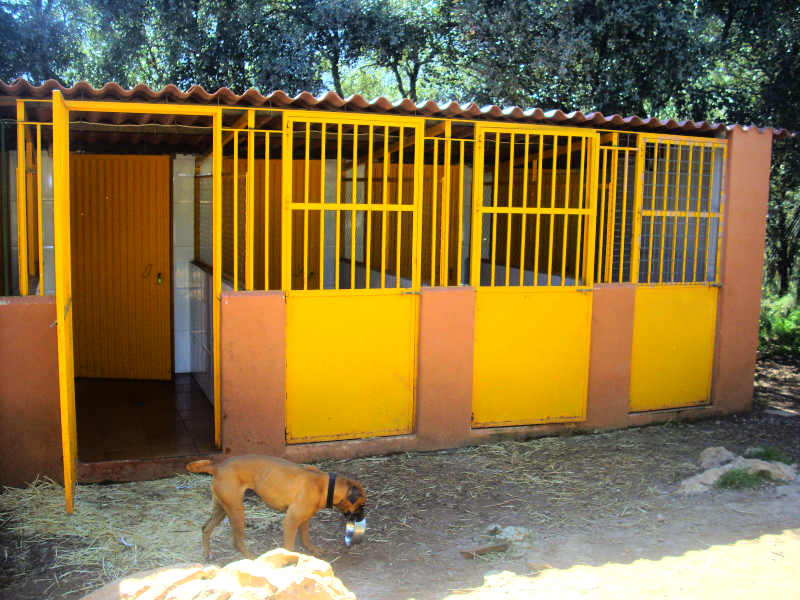 Main Kennels