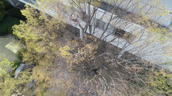 医療法人サン・クリニック|岡山市 産婦人科 妊娠 出産 産後ケア 女医のいる産婦人科