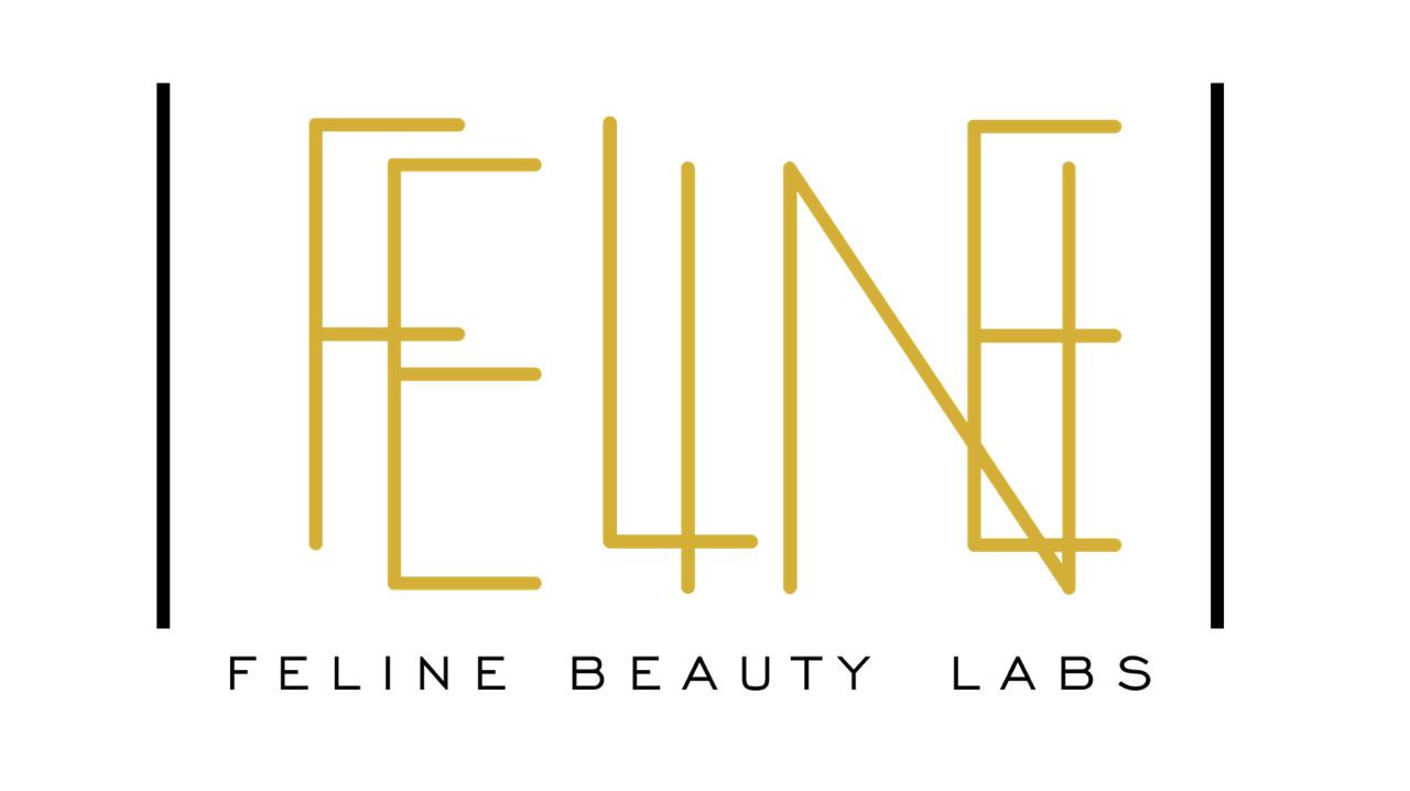 Facilities Feline Spa And Beauty Labs Pretoria
