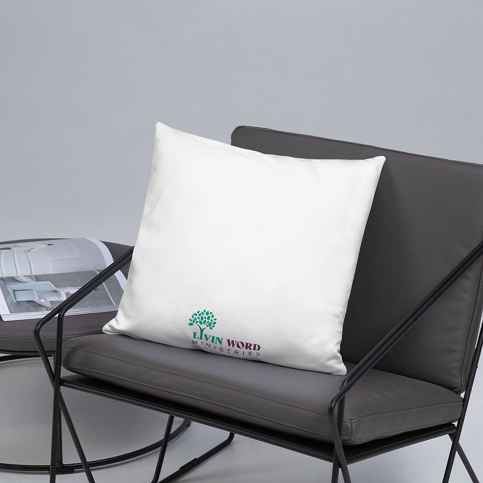 Thumbnail: Basic Pillow