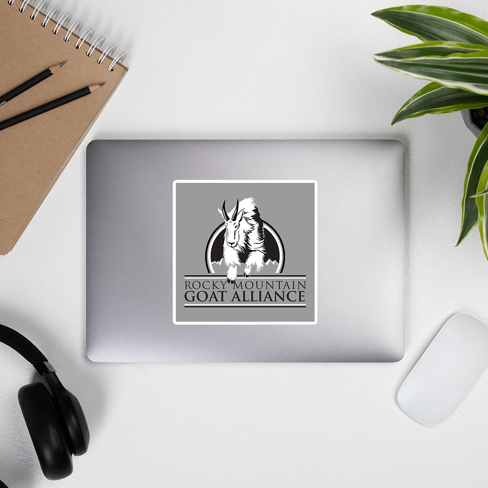Thumbnail: RMGA Logo Sticker