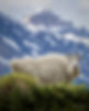 Epp-20180527-overlooking.JPG