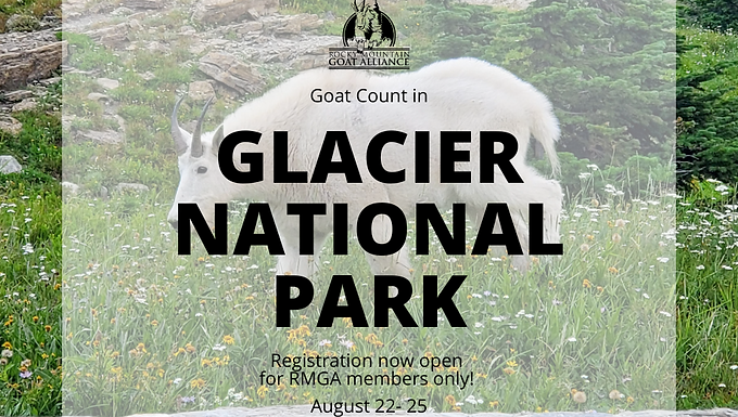 Glacier National Park Count