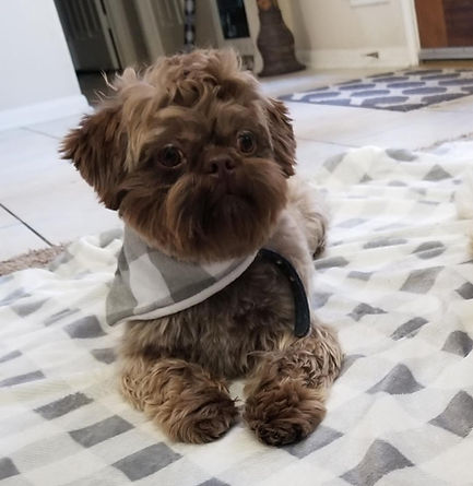 cooper%20coco%20hpney_edited.jpg