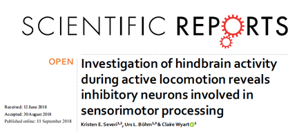 New publication