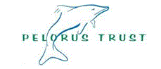 pelorus trust