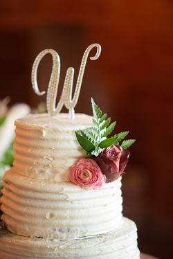 Mason / Wells Wedding