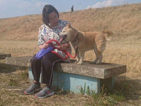 ゴールデンウィーク期間のご予約について