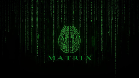 Matrix metaforuyla zihinsel programlar ve nöroplastisiteyi açıklayan dijital beyin görseli — MindReset Coaching.