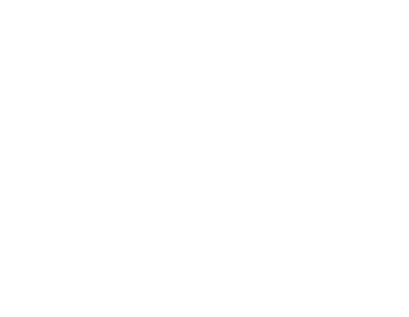 vinyl_vault_logo_white(1).png
