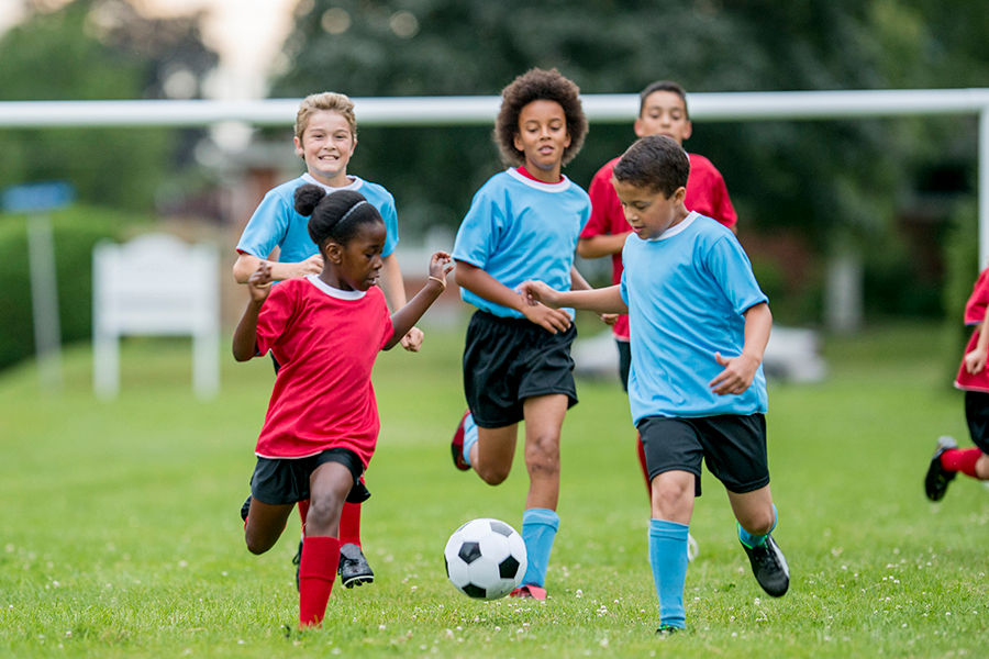 Summer Camp Full Session- Daily