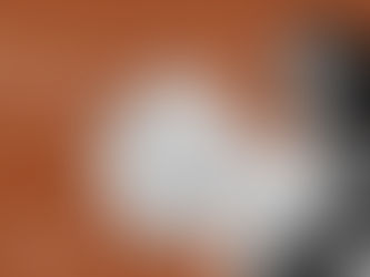 Maya Angelou First Black Woman on U.S. Coin