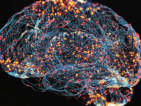 Major Study Produces Good News in Alzheimer’s Fight