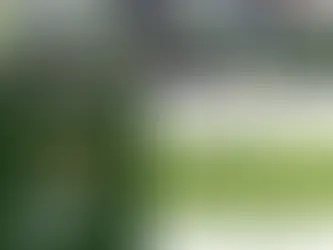 City of Akron and Akron Tree Commission Host Arbor Day Event