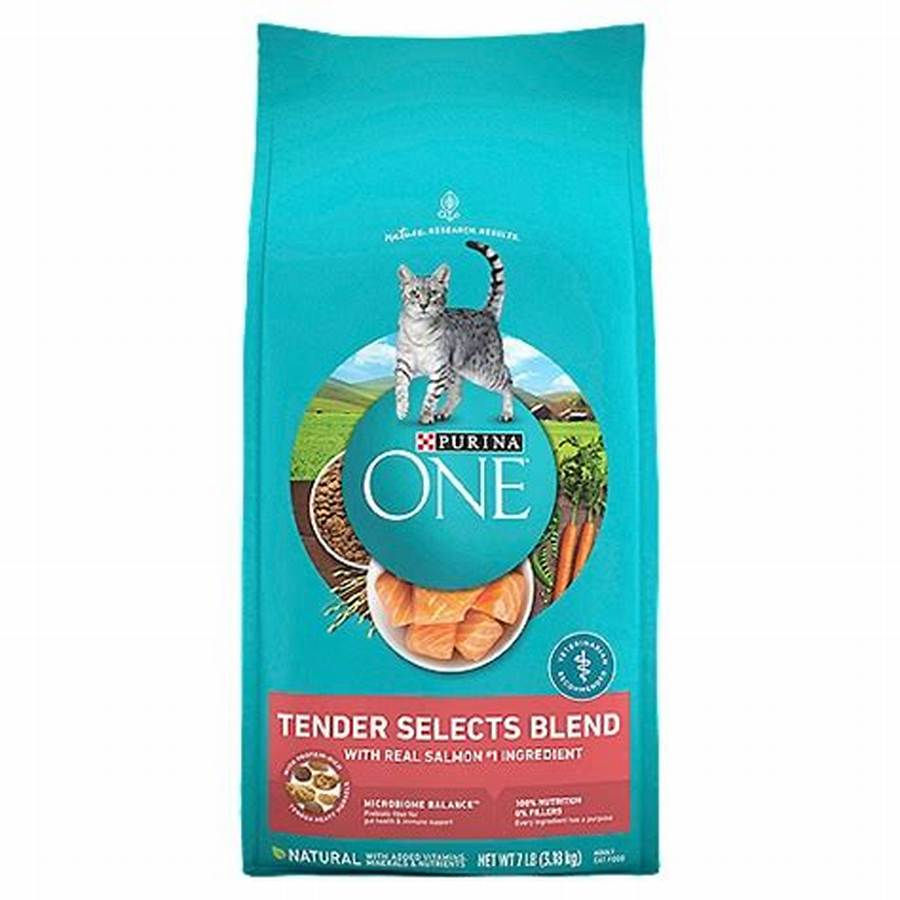 Purina ONE Tender Selects Blend Salmon Cat Food 7 lb front retail package