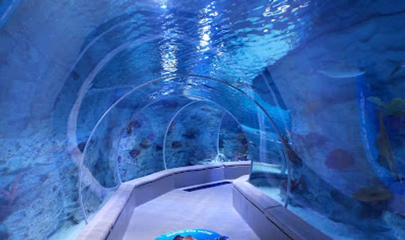 Emaar Square Aquarium World - Akvaryum