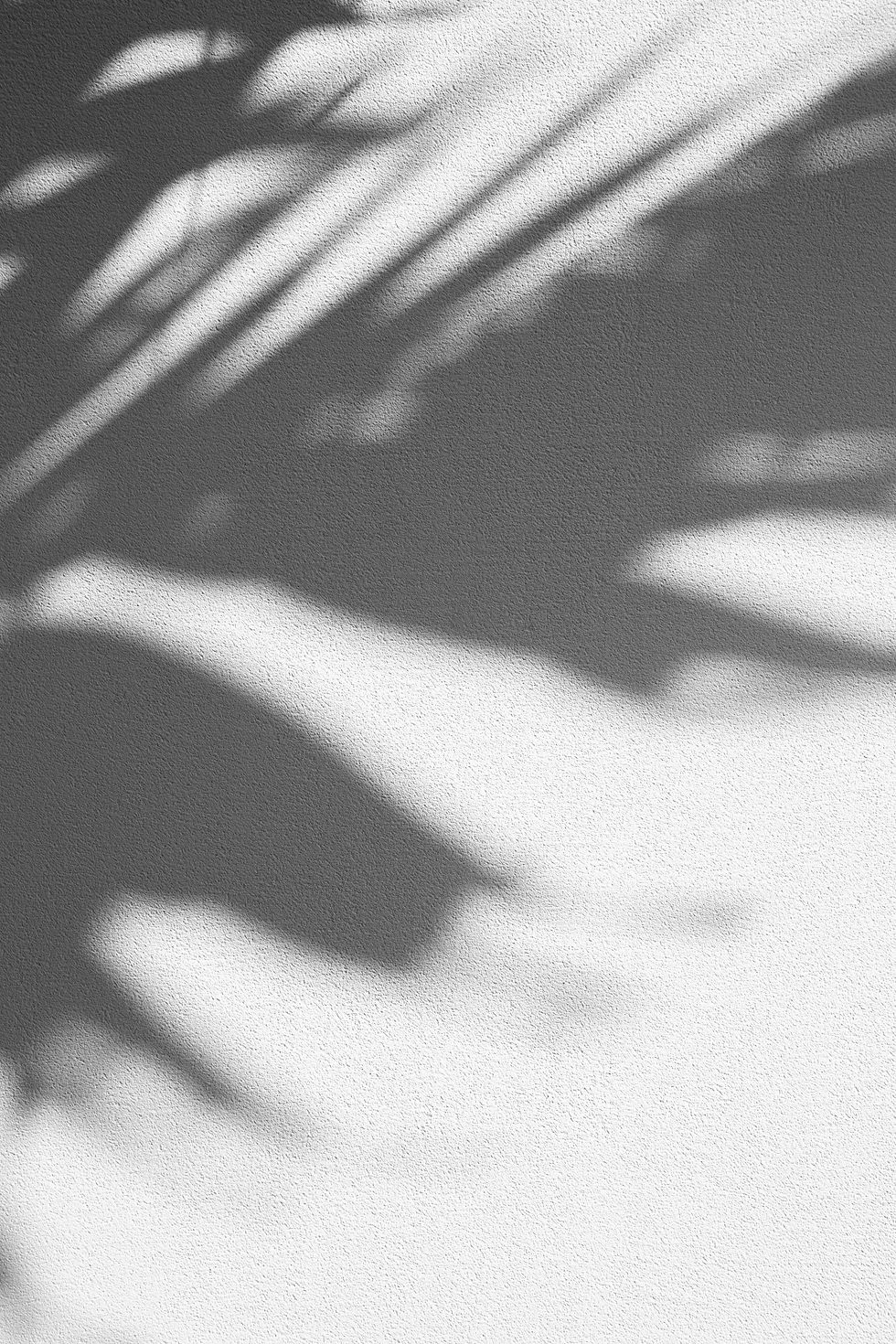 augustine-wong-zB1JO_sWlOE-unsplash.jpg