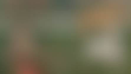 Paradoxical Treatment: The Hidden Power of Connection