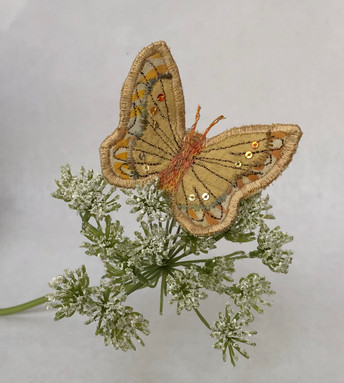 Pale gold butterfly