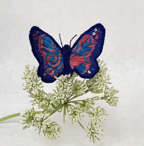 Blue and red butterfly
