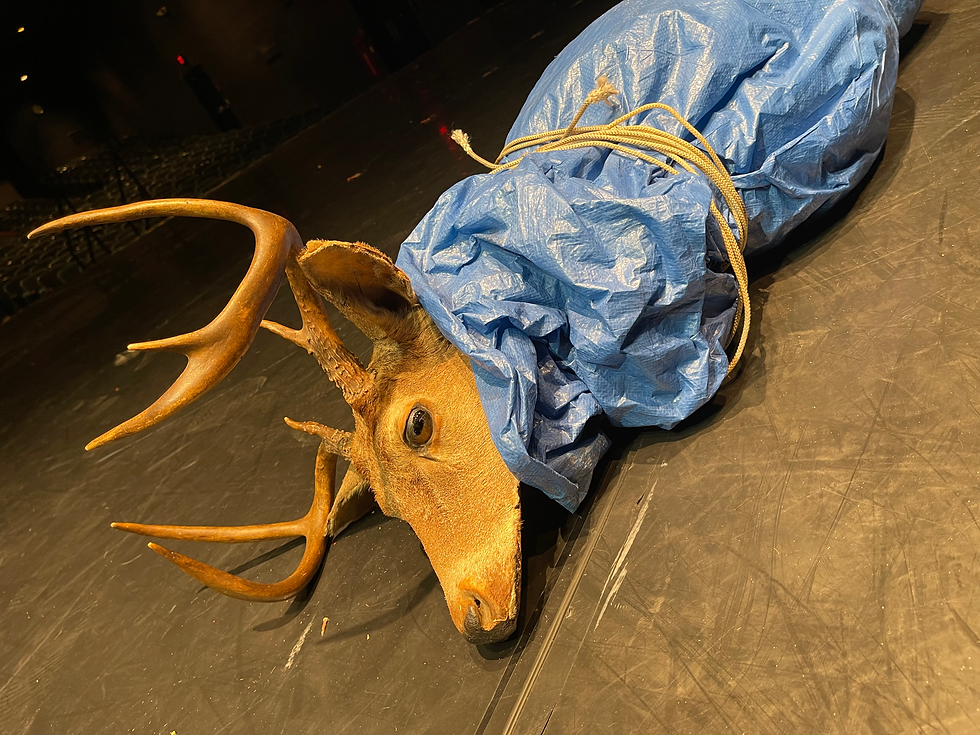 Deer Carcass (As You Like It: 2021)