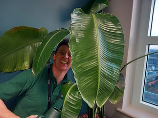 NT Plant Picture.jpg