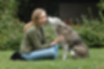 animal reiki creator kathleen prasad shares end of life reiki with her dear old husky mix dakota