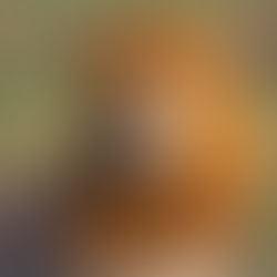 What Really Happens in an Animal Reiki Session...and Why Trust Changes Everything