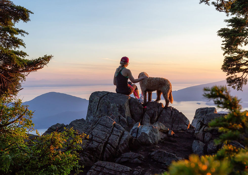 Woman in red cap pets a curly dog on a rocky mountain lookout at sunset, framed by trees and overlooking a calm bay