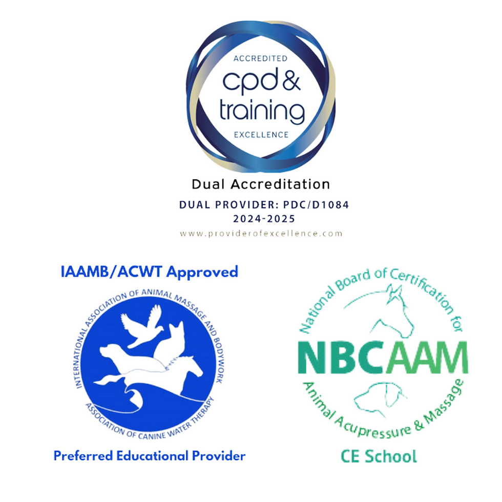 Thumbnail: Level 2 Animal Reiki Certification | Let Animals Lead® Method