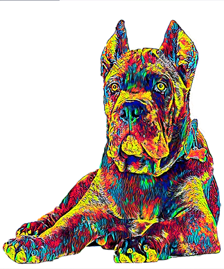 image0.png