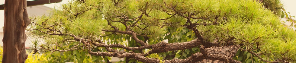 カルチュアクリエイティブ外観