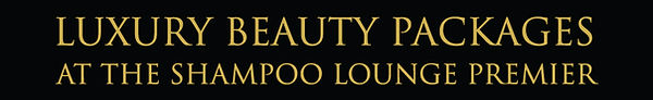TSL-Meru-Luxury-Package-text.jpg