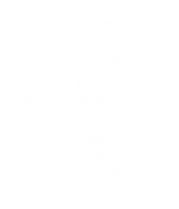 Ontwerp zonder titel.png