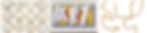 banner image2 (29).jpg
