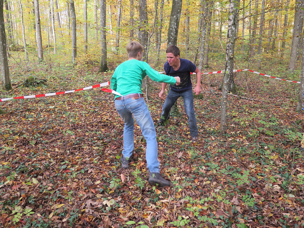 Die Ritter von Tettingen