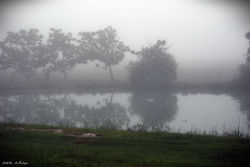 20080616 - Ukanotas rytas - Hazy morning 02.JPG