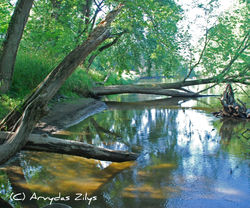 set ON THE RIVER 3511.jpg