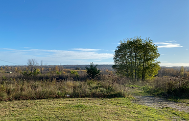 Open field for land development