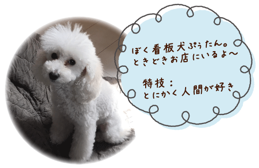 ぼく看板犬ぷうたん.gif