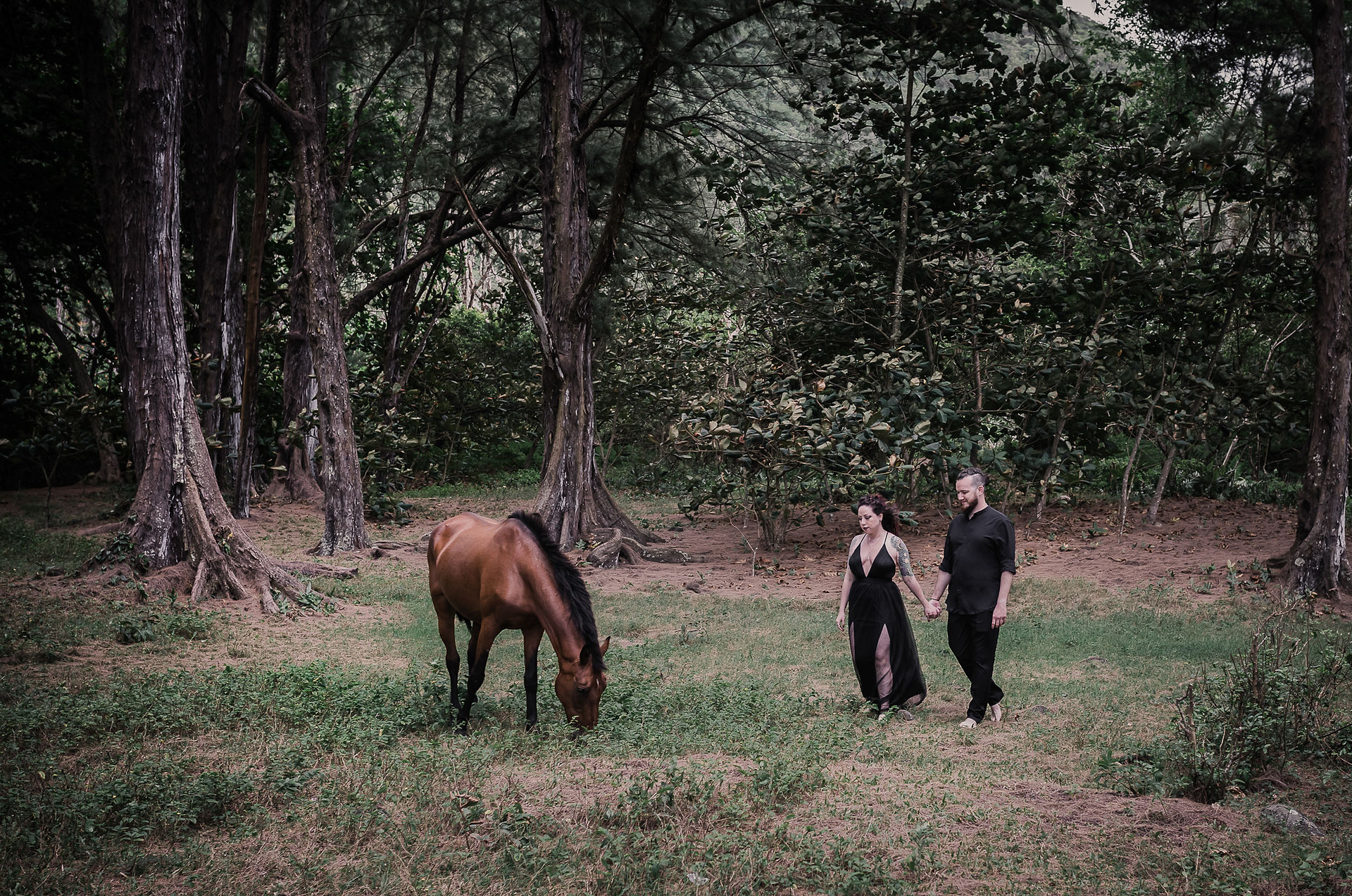 couple approaching wild horses